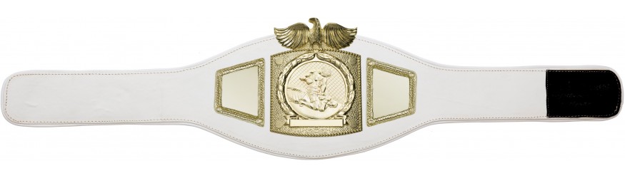 PROEAGLE MMA CHAMPIONSHIP BELT - PROEAGLE/G/MMAG - AVAILABLE IN 6+ COLOURS